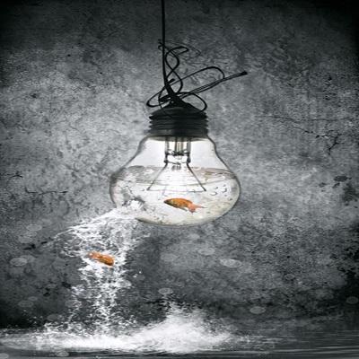 Lightbulb with Goldfish